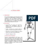 El Sistema Oseo y Sus Partes