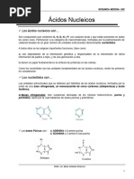 Acidos Nucleicos