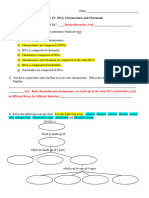 DNA Structure and Replication HW Packet - K-R - 12-13 - KEY