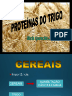 Aula - Proteínas Do Trigo - VAl 2023