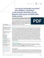 The Non-Muscle Actinopathy-Associated Mutation E33