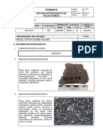 Formato: Estudio Petrográfico de Rocas Ígneas