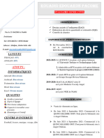 CV Et Lettre de Motivation Le N'zi