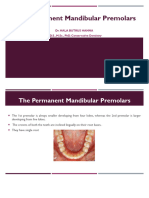 Mandibular Premolars