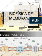 1 C - Bioeletrogênese 1 - Slides