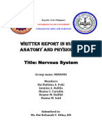 Nervous System Written Report 2