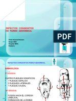 Onfalocele y Gastroquisis