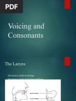 Chapter 4 - Voicing and Consonants