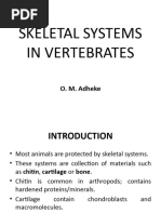 Skeletal Systems in Vertebrates