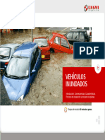 Vehiculos Inundados CESVI 2014