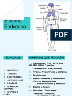 Endocrino