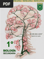 1.âº Secundaria. Ciencias Naturales-Biologiì A. Indira Gonzales Carballo