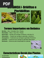 Briófitas e Pteridófitas IU 20