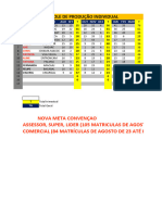 Relatório Produção Individual 2024 (Meta Convençao) Fev