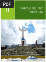 Síntesis Del PDC Provincial