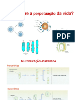 Mitose Meiose - Removed