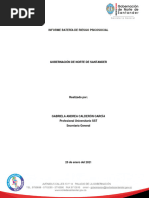 Ejemplo de Informe de Bateria de Riesgo Psicosocial