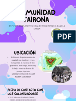 Comunidad Tairona