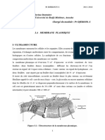 3-Membrane Plasmique