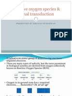 Reactive Oxygen Species & Signal Trans Duct Ion 2