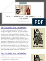 Human Physiology 2