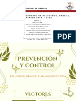 Prevención y Control Paludismo, Dengue, Chinkungunya y Zika