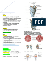 Anatomia 02 18042023