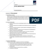 Guía #07 PDF