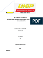 RELATÓRIO DE AULA PRATICA - Docx RN