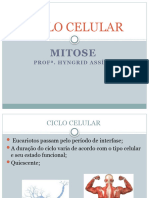 Ciclo Celular-Mitose Meiose