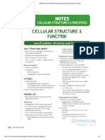 Cellular Structures and Processes Notes - Diagrams & Illustrations - Osmosis