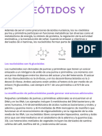 Nucleótidos y Hemo PDF