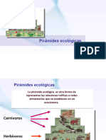 Pirámides Ecológicas