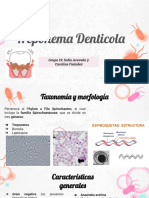 Presentación T. Denticola