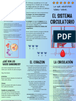 Folleto Informativo Sistema Circulatorio