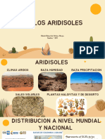 Suelos Aridisoles