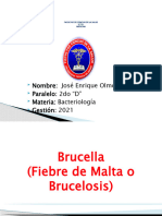 Brucellosis o Fiebre de Malta