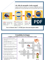 Ciclo de Vida Do Mosquito Aedes Aepypti e Cruzadinha