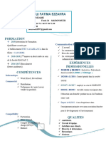 CV Professionnel