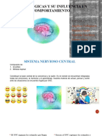 Bases Biologicas y Su Influencia en El Comportamiento