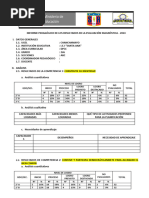 Informe Pedagógico de Los Resultados de La Evaluación Diagnóstica