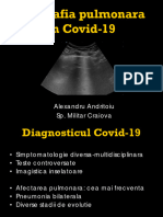 Dr. Alexandru Andritoiu Ecografia Pulmonara in Covid 19