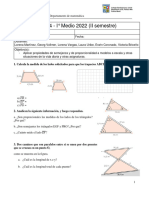 Guia4Imedio (Resumen Semejanza)