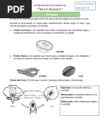 El Fruto