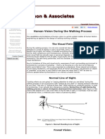 Nelson & Associates - Human Factors - Visual Acuity & Line of Sight