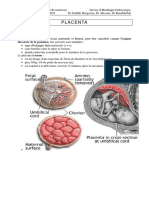 8 - Placenta