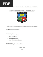 Informe 9