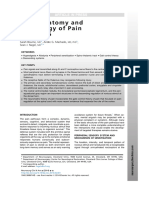 Sci-Hub - Anatomía Básica y Fisiología de Las Vías Del Dolor - 10.1016:j.nec.2014.06