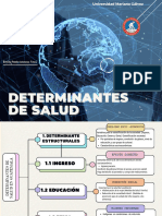 Determinantes de Salud