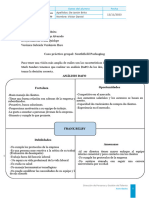 Equipo 11 Lote 72 - Caso Southfield Packaging